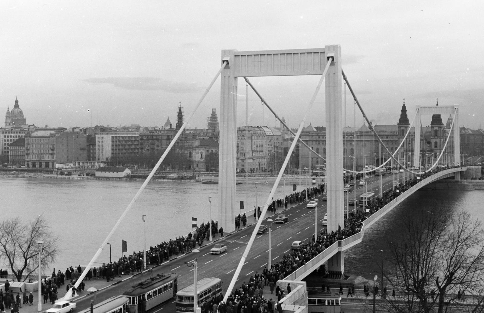Magyarország, Budapest I.,Budapest V., Erzsébet híd a Gellérthegyről nézve, a felvétel a híd avatása után készült., 1964, Hegyvidéki Helytörténeti Gyűjtemény, Budapest, Fortepan #290135
