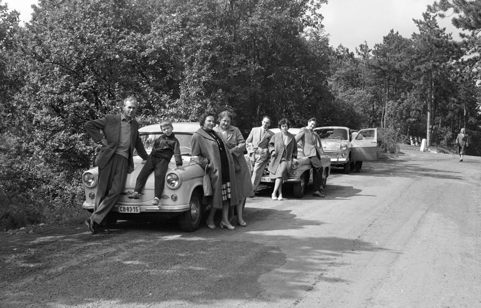 1963, Hegyvidéki Helytörténeti Gyűjtemény, Skoda-brand, Moskvitch-brand, number plate, Fortepan #290166