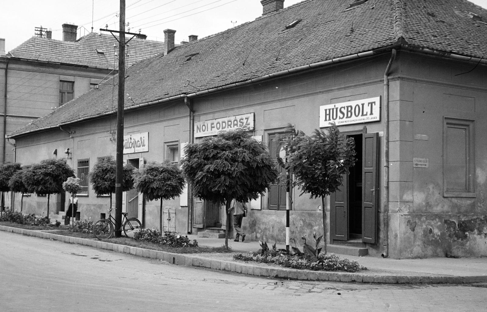 1963, Hegyvidéki Helytörténeti Gyűjtemény, Fortepan #290174