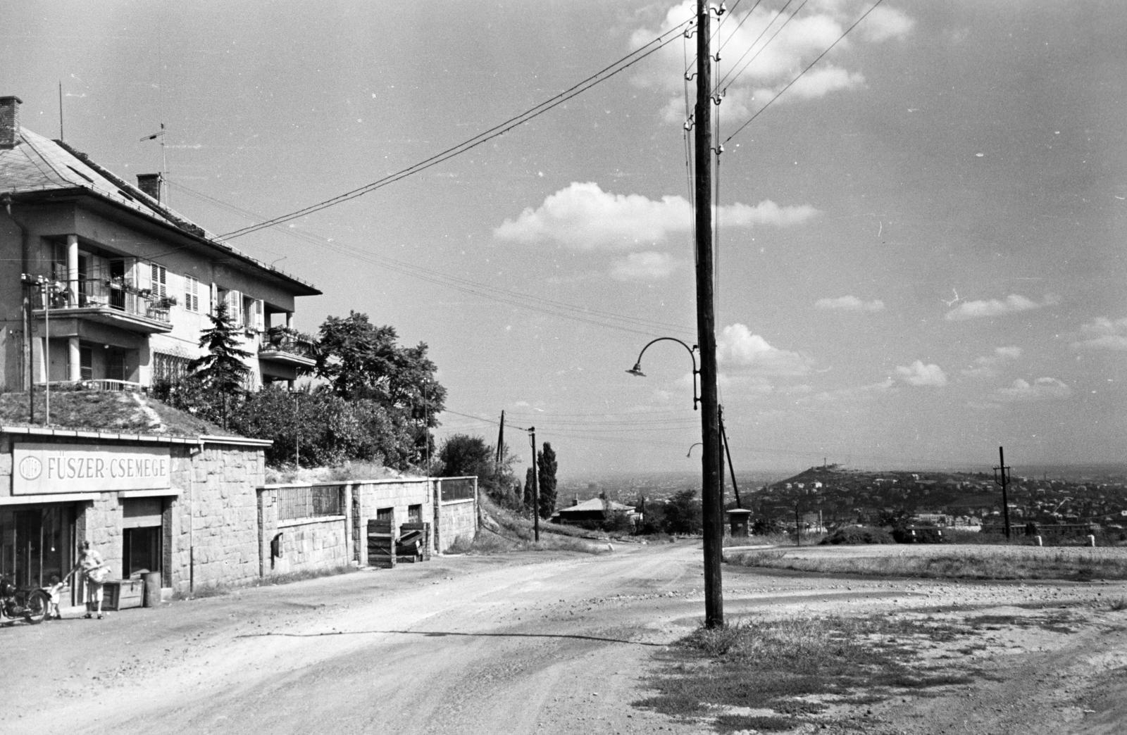 Hungary, Budapest XII., Fodor utca, a 2-es autóbusz végállomása, szemben a 29 a-b számú ház., 1962, Hegyvidéki Helytörténeti Gyűjtemény, Közért Company, Budapest, Fortepan #290207