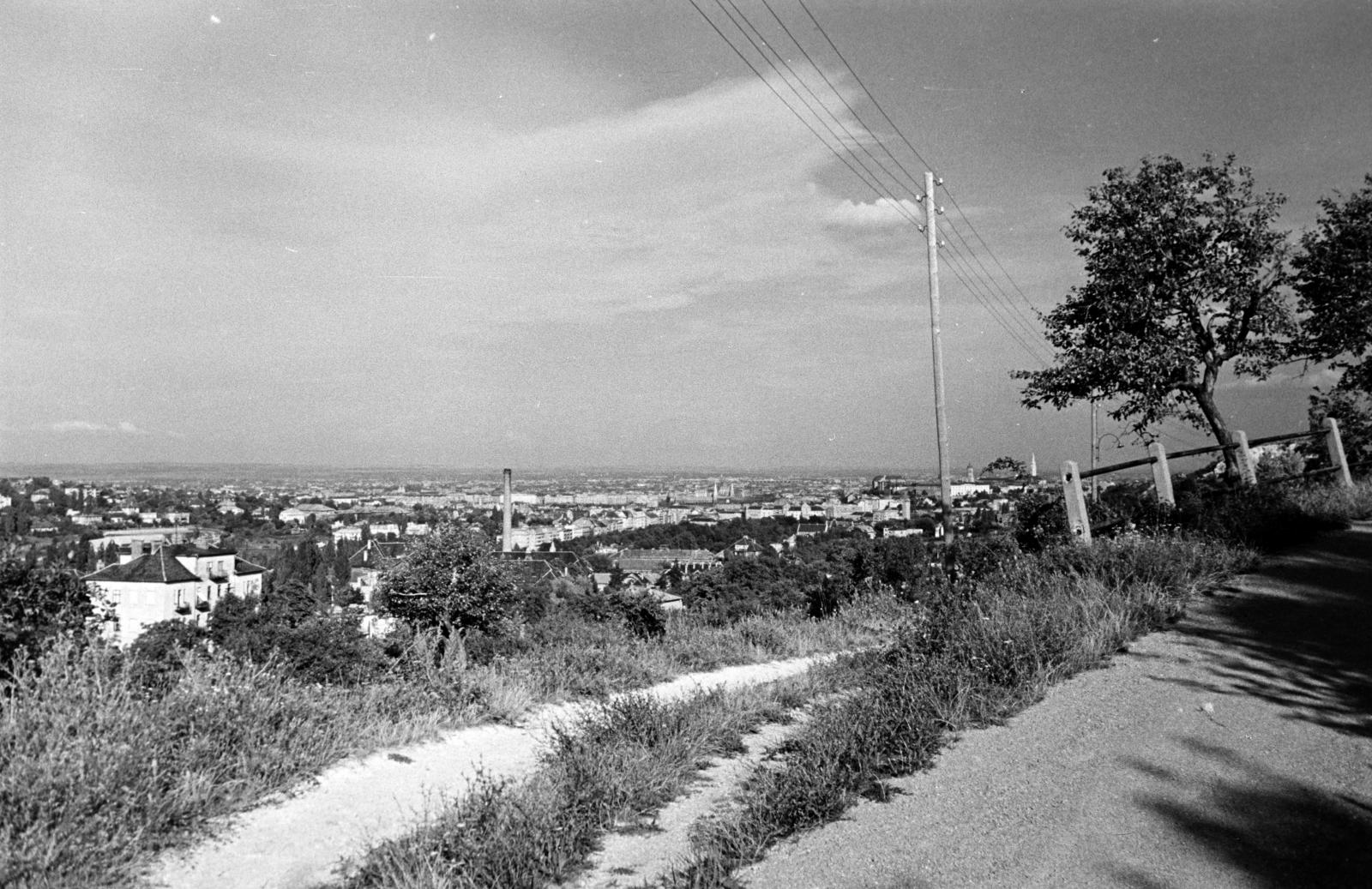 Hungary, Budapest XII., Rözse utca, kilátás a Fővárosi Esze Tamás Fiúotthon és Általános Iskolához vezető bekötőúttól a János Kórház felé., 1962, Hegyvidéki Helytörténeti Gyűjtemény, Budapest, Fortepan #290219