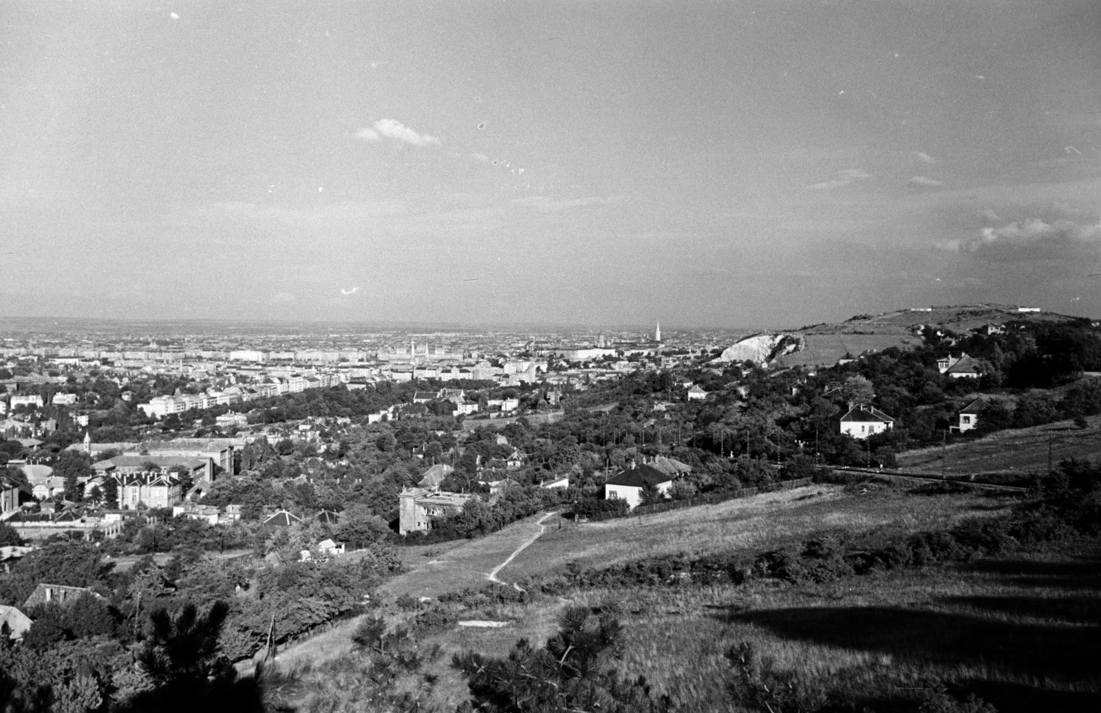 1962, Hegyvidéki Helytörténeti Gyűjtemény, Fortepan #290222