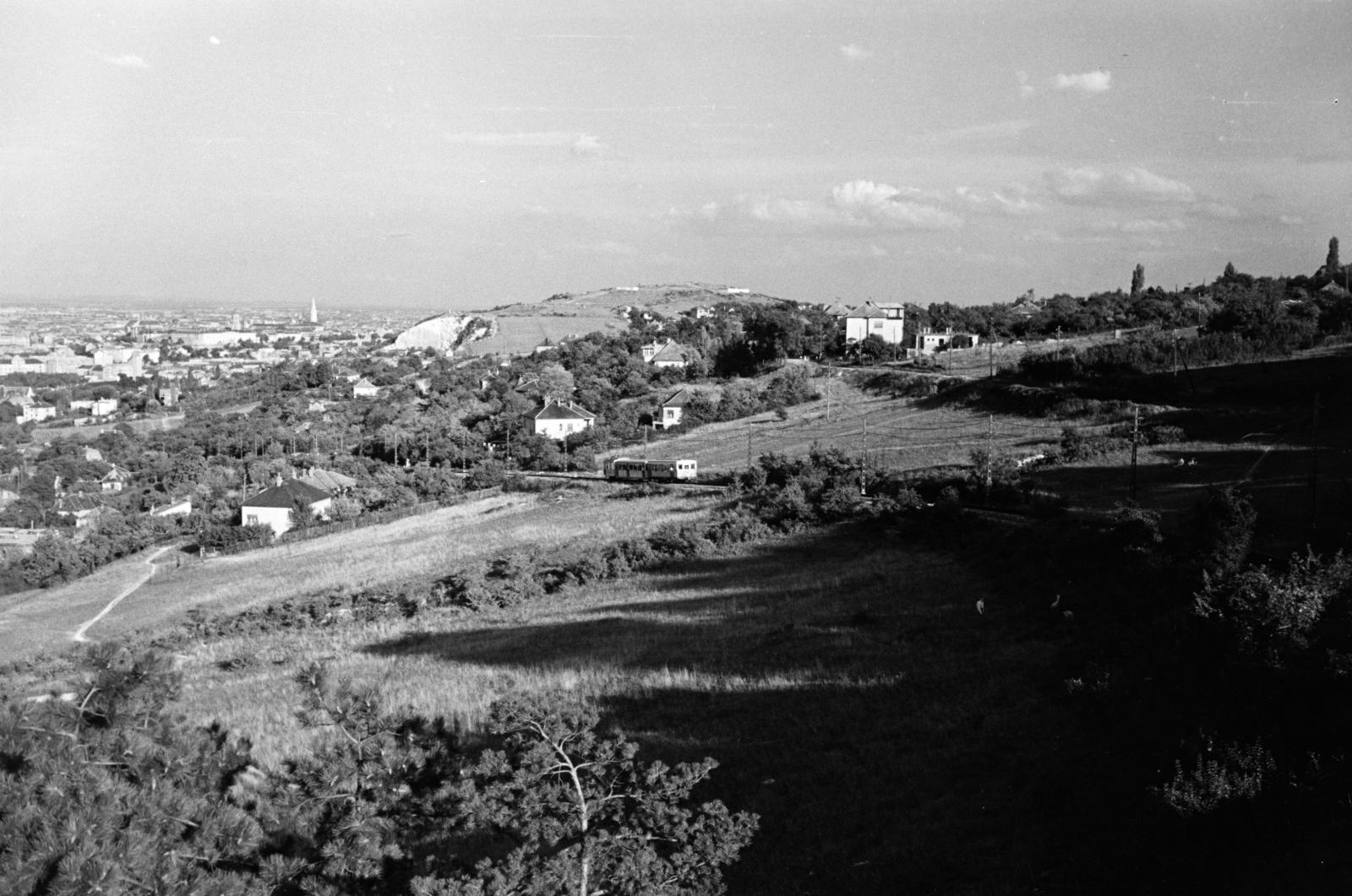 Hungary, Budapest XII., Rözse utca, kilátás a Fővárosi Esze Tamás Fiúotthon és Általános Iskola épületéből a budai Vár és a Kis-Sváb-hegy felé, balra a János Kórház., 1962, Hegyvidéki Helytörténeti Gyűjtemény, Budapest, Fortepan #290223