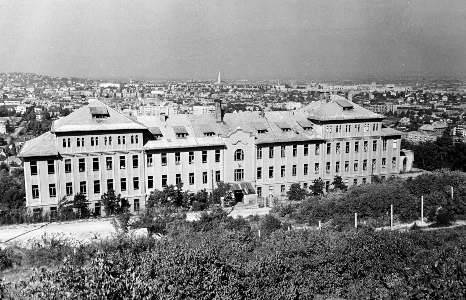 Hungary, Budapest XII., Meredek utca 1., Sashegyi Arany János Általános Iskola és Gimnázium., 1958, Hegyvidéki Helytörténeti Gyűjtemény, Budapest, Fortepan #290257