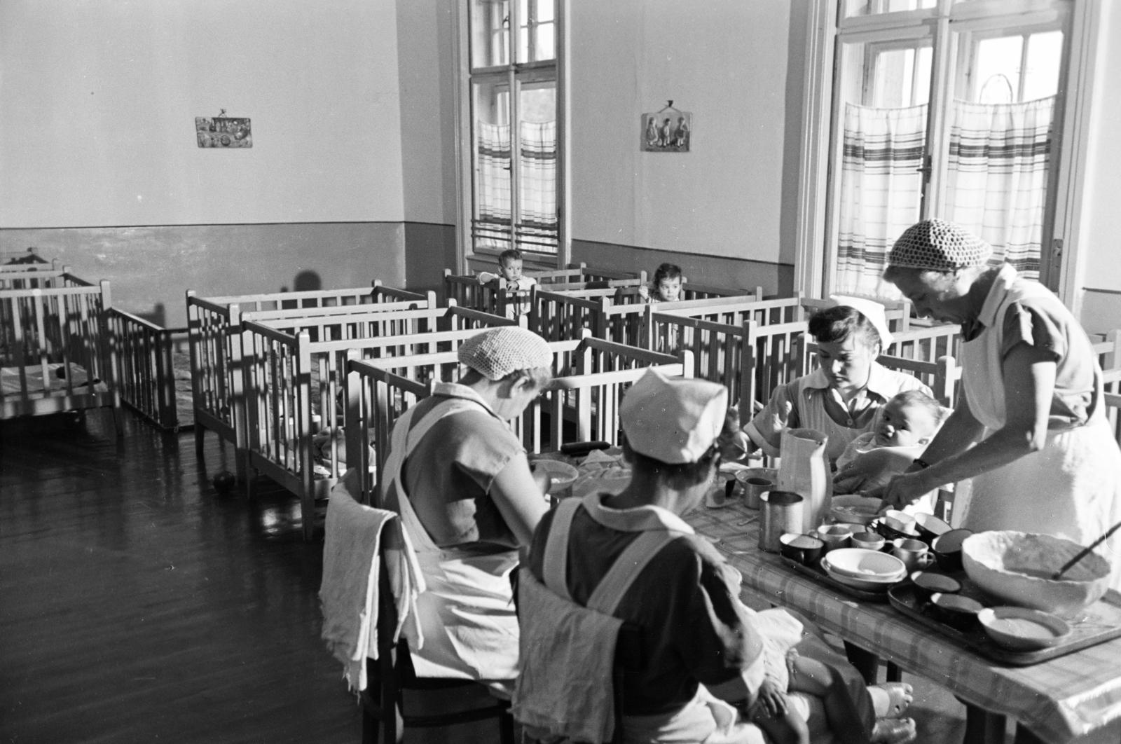 1961, Hegyvidéki Helytörténeti Gyűjtemény, Fortepan #290268