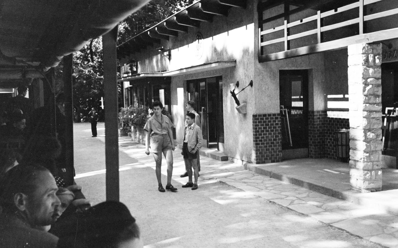 Magyarország, Széchenyihegy, Budapest XII., Gyermekvasút (Úttörővasút), Virágvölgy (Előre) állomás., 1961, Hegyvidéki Helytörténeti Gyűjtemény, Budapest, Fortepan #290273