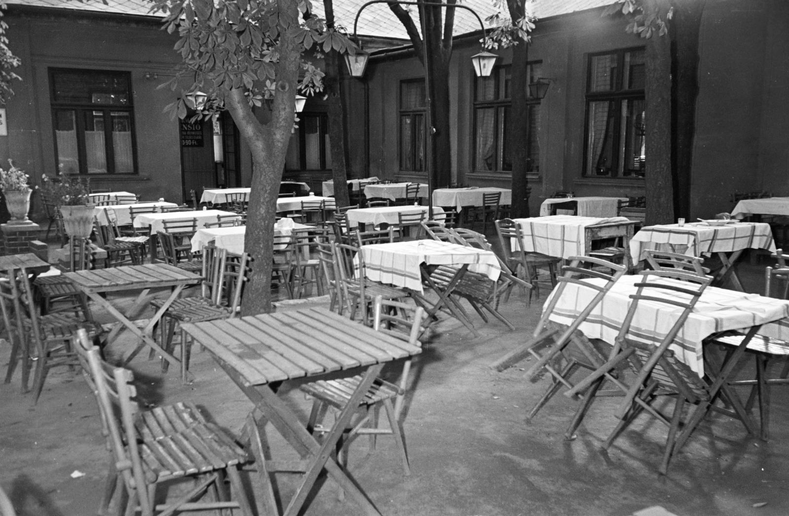 1961, Hegyvidéki Helytörténeti Gyűjtemény, vendéglátás, Fortepan #290286