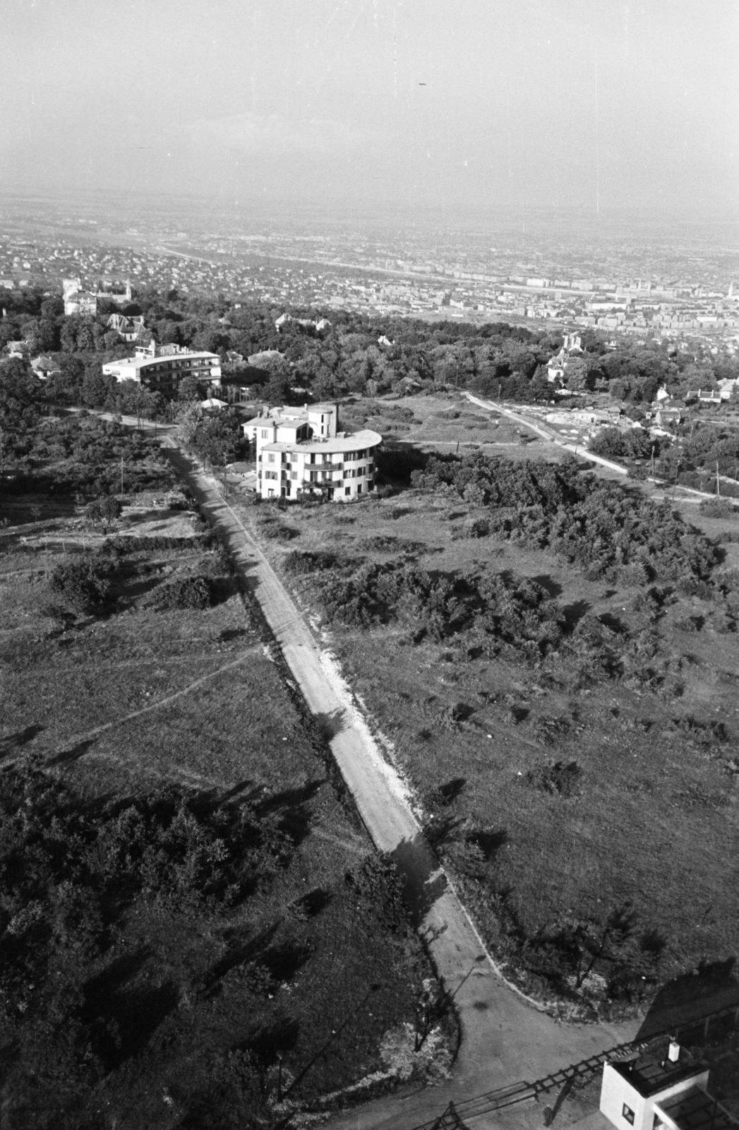 Magyarország, Széchenyihegy, Budapest XII., kilátás a TV toronyból a Margit-sziget felé. Középen a Pipiske út 4,, az egykori társasszálló, mögötte balra a Rege társasház (korábban üdülőszálló), távolabb a Szabadsághegyi Állami Tüdőgyógyintézet (korábban Svábhegyi Szanatórium) épülete látható., 1961, Hegyvidéki Helytörténeti Gyűjtemény, Budapest, Fortepan #290295