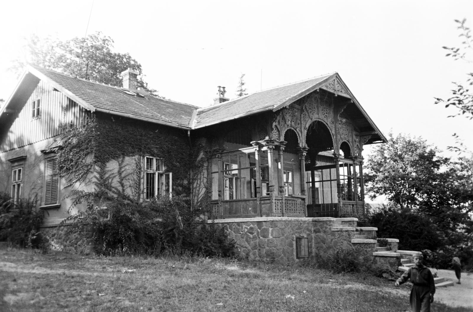 1959, Hegyvidéki Helytörténeti Gyűjtemény, Fortepan #290306