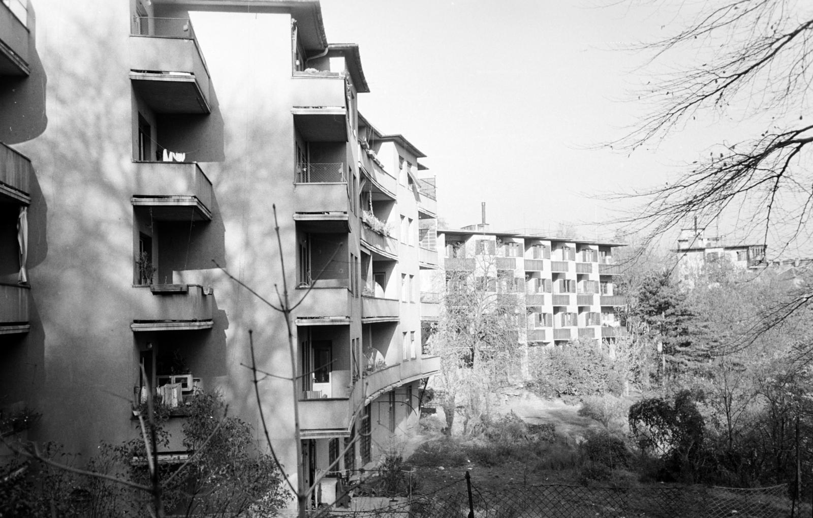 1959, Hegyvidéki Helytörténeti Gyűjtemény, Fortepan #290356