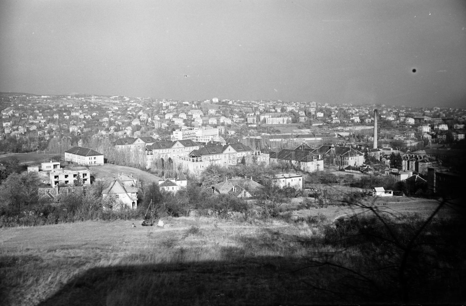 Hungary, Budapest XII., Fogaskerekű, a felvétel az Esze Tamás megálló közelében készült. Kilátás a János Kórház felé., 1959, Hegyvidéki Helytörténeti Gyűjtemény, Budapest, Fortepan #290357