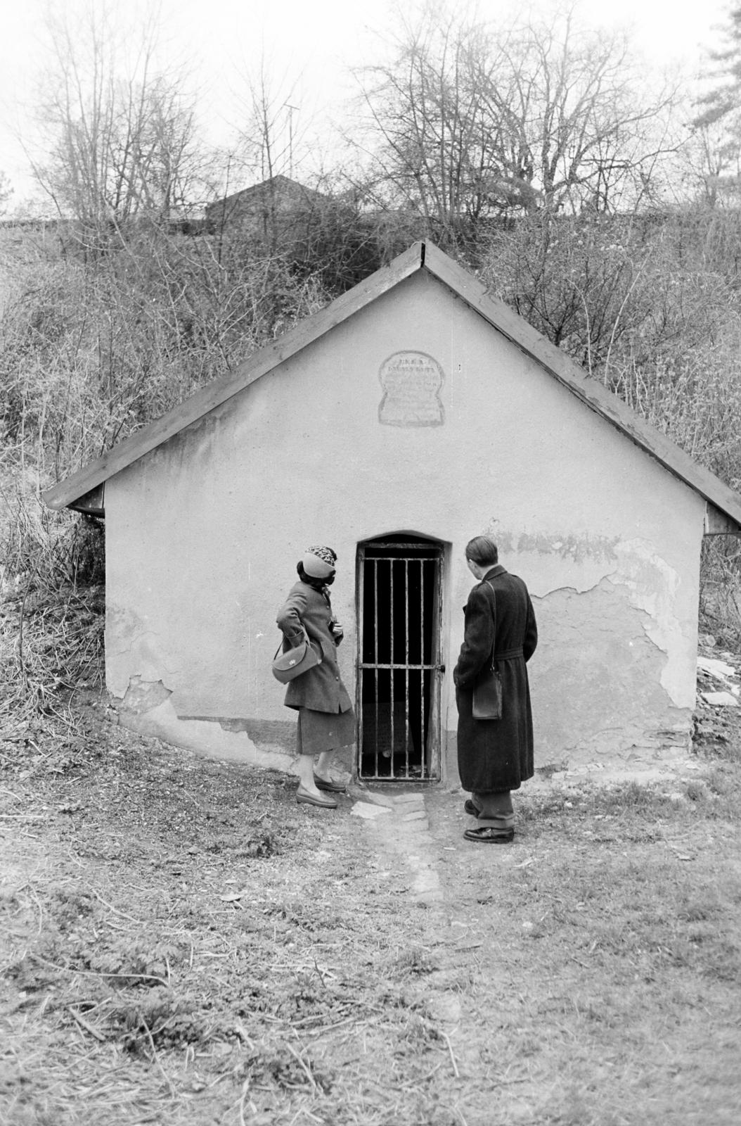 1959, Hegyvidéki Helytörténeti Gyűjtemény, Fortepan #290363