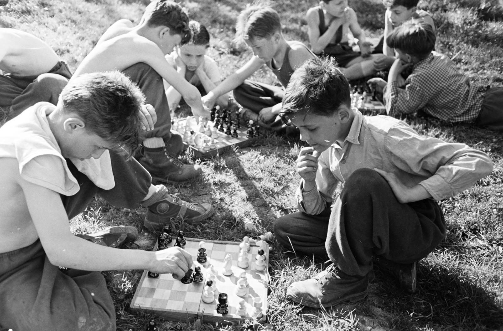 1959, Hegyvidéki Helytörténeti Gyűjtemény, sakk, Fortepan #290398