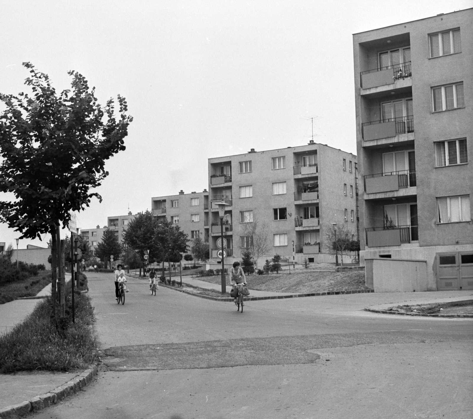 Hungary, Százhalombatta, Ifjúság útja a Hága László utca felől nézve., 1976, Építésügyi Dokumentációs és Információs Központ, VÁTI, bicycle, Fortepan #29040
