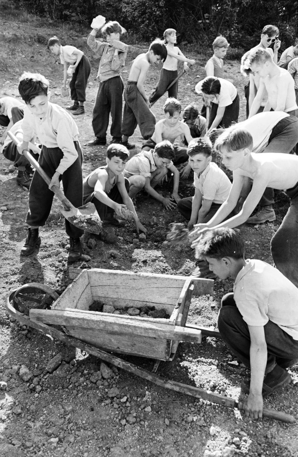 1959, Hegyvidéki Helytörténeti Gyűjtemény, Fortepan #290400