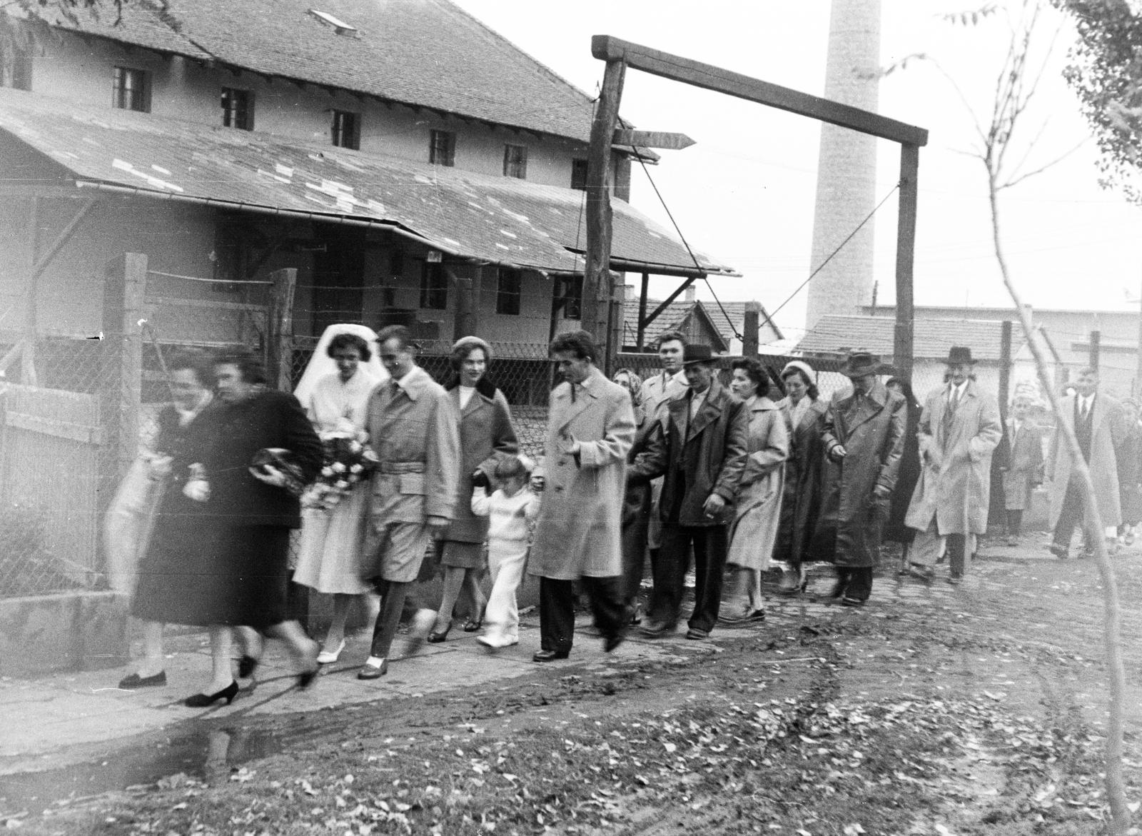 1962, Hegyvidéki Helytörténeti Gyűjtemény, wedding ceremony, Fortepan #290426