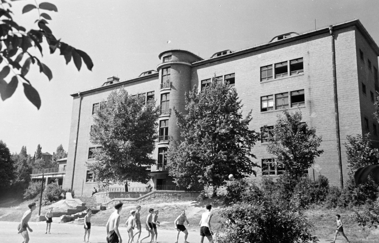 Hungary, Budapest XII., Németvölgyi úti Általános Iskola, udvar felőli homlokzat., 1958, Hegyvidéki Helytörténeti Gyűjtemény, Budapest, Fortepan #290438