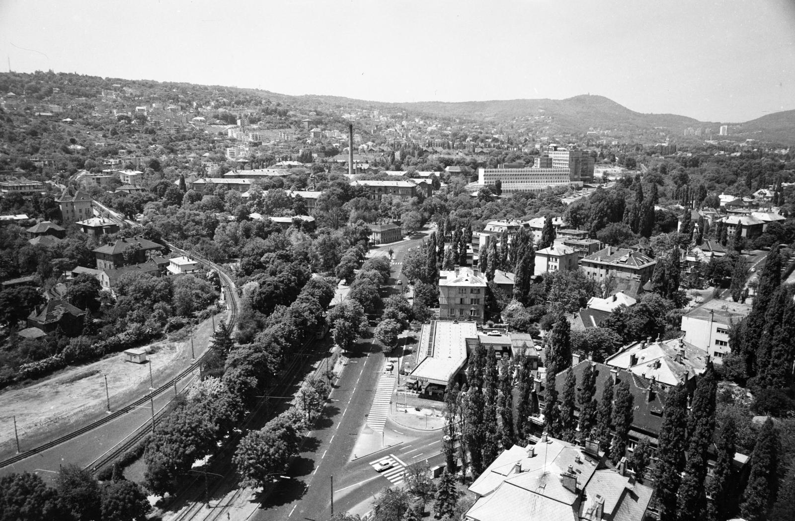 Magyarország, Budapest XII., kilátás a Budapest körszálló teraszáról a János-hegy felé. Előtérben a Szilágyi Erzsébet fasor. Középen a János Kórház és a Kútvölgyi úti Központi Állami Kórház (később Észak-budai Szent János Centrumkórház). Jobb szélen a Pasaréti út melletti házak láthatók., 1973, Hegyvidéki Helytörténeti Gyűjtemény, Budapest, Fortepan #290497