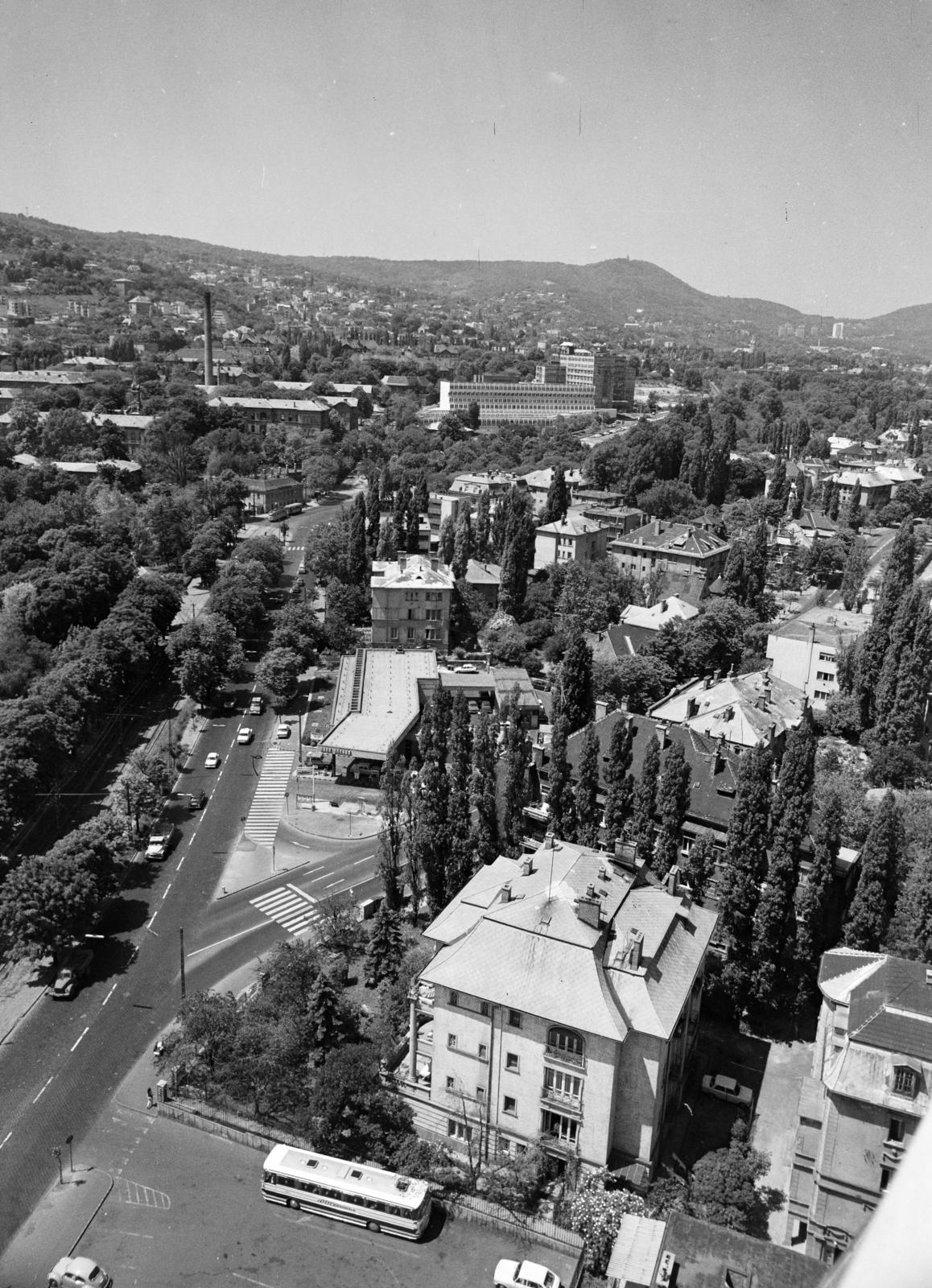 Hungary, Budapest XII., kilátás a Budapest körszálló teraszáról a János-hegy felé. Előtérben a Szilágyi Erzsébet fasor. Középen a János Kórház és a Kútvölgyi úti Központi Állami Kórház (később Észak-budai Szent János Centrumkórház). Jobb szélen a Pasarésti út melletti házak láthatók., 1973, Hegyvidéki Helytörténeti Gyűjtemény, Budapest, Fortepan #290499