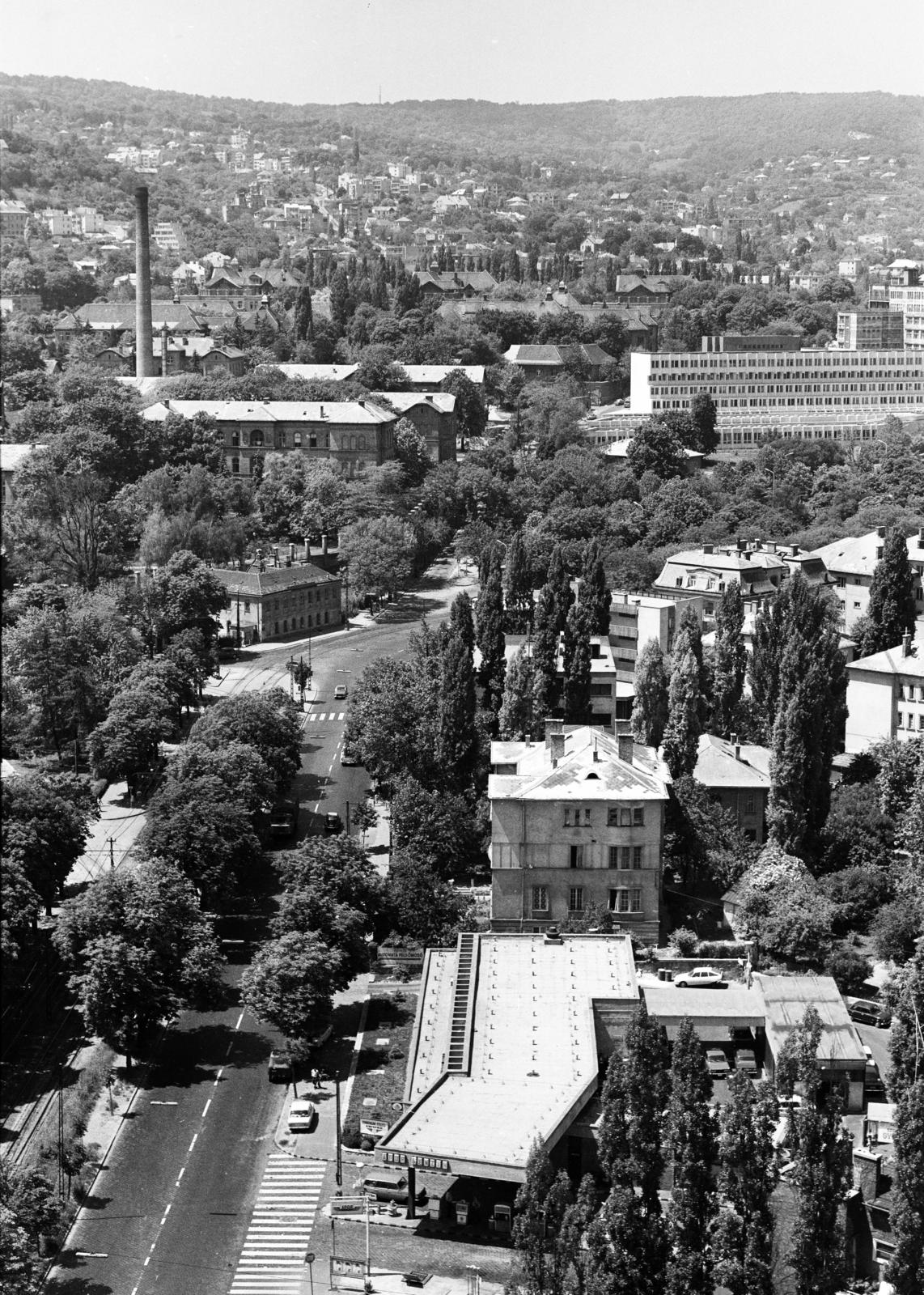 Hungary, Budapest XII., kilátás a Budapest körszálló teraszáról a János-hegy felé. Előtérben a Szilágyi Erzsébet fasor. Középen a János Kórház és a Kútvölgyi úti Központi Állami Kórház (később Észak-budai Szent János Centrumkórház)., 1973, Hegyvidéki Helytörténeti Gyűjtemény, Budapest, Fortepan #290502