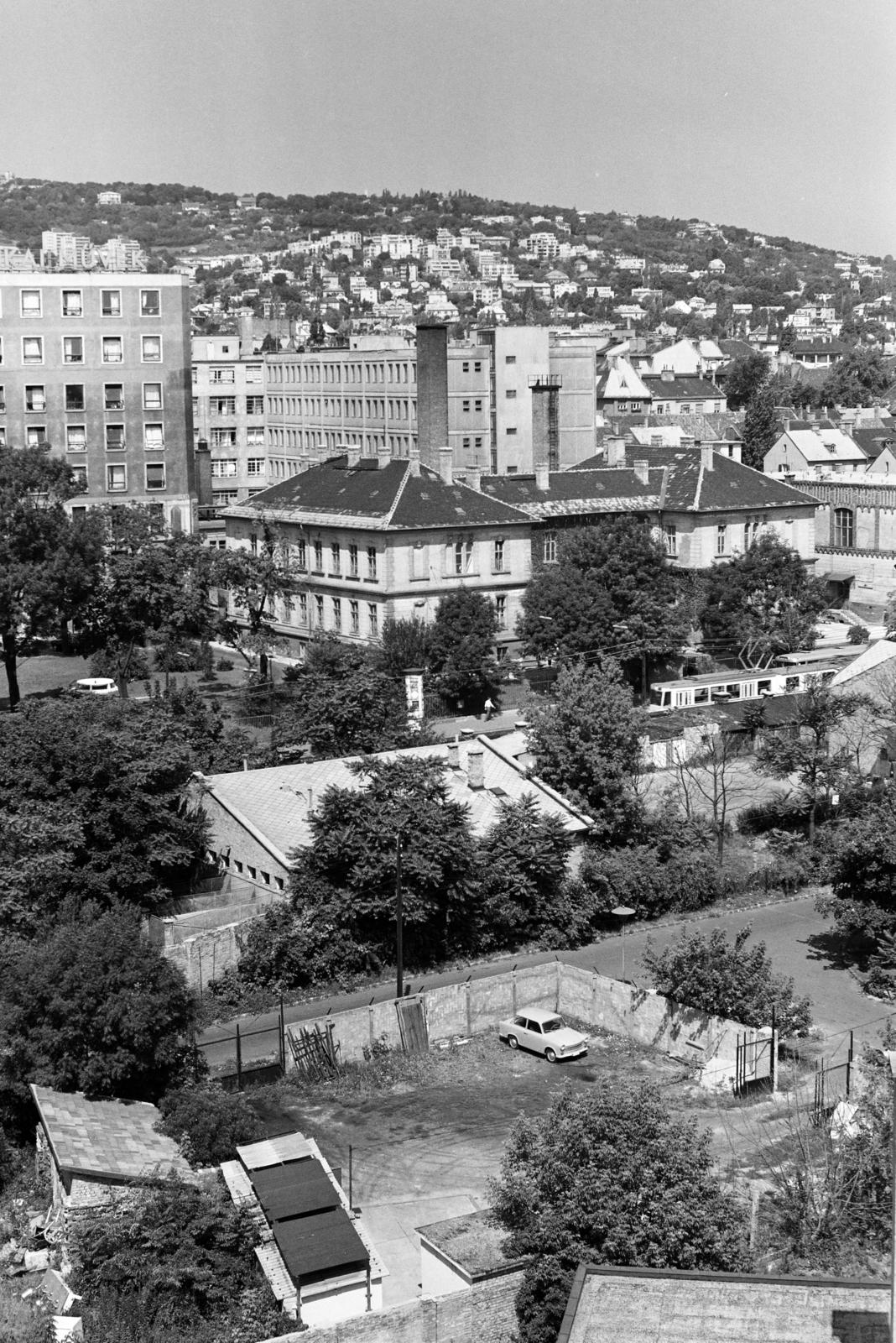 Hungary, Budapest XII., kilátás a Csörsz utca 23-25. számú ház tetejéről a Magyar Optikai Művek (MOM) épületei felé, háttérben a Sváb-hegy., 1970, Hegyvidéki Helytörténeti Gyűjtemény, Budapest, Fortepan #290532