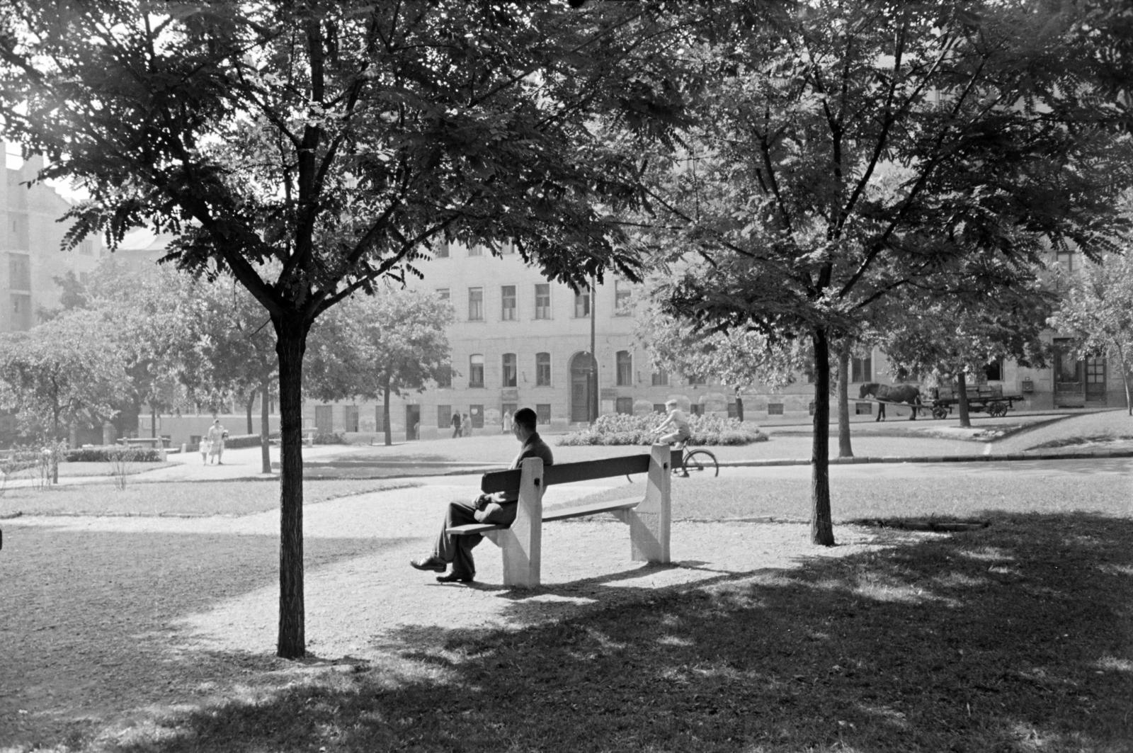 Hungary, Budapest XII., Németvölgyi út, park a Királyhágó tér mellett., 1958, Hegyvidéki Helytörténeti Gyűjtemény, bench, back, relaxation, man, sitting, Budapest, bicycle, Fortepan #290585