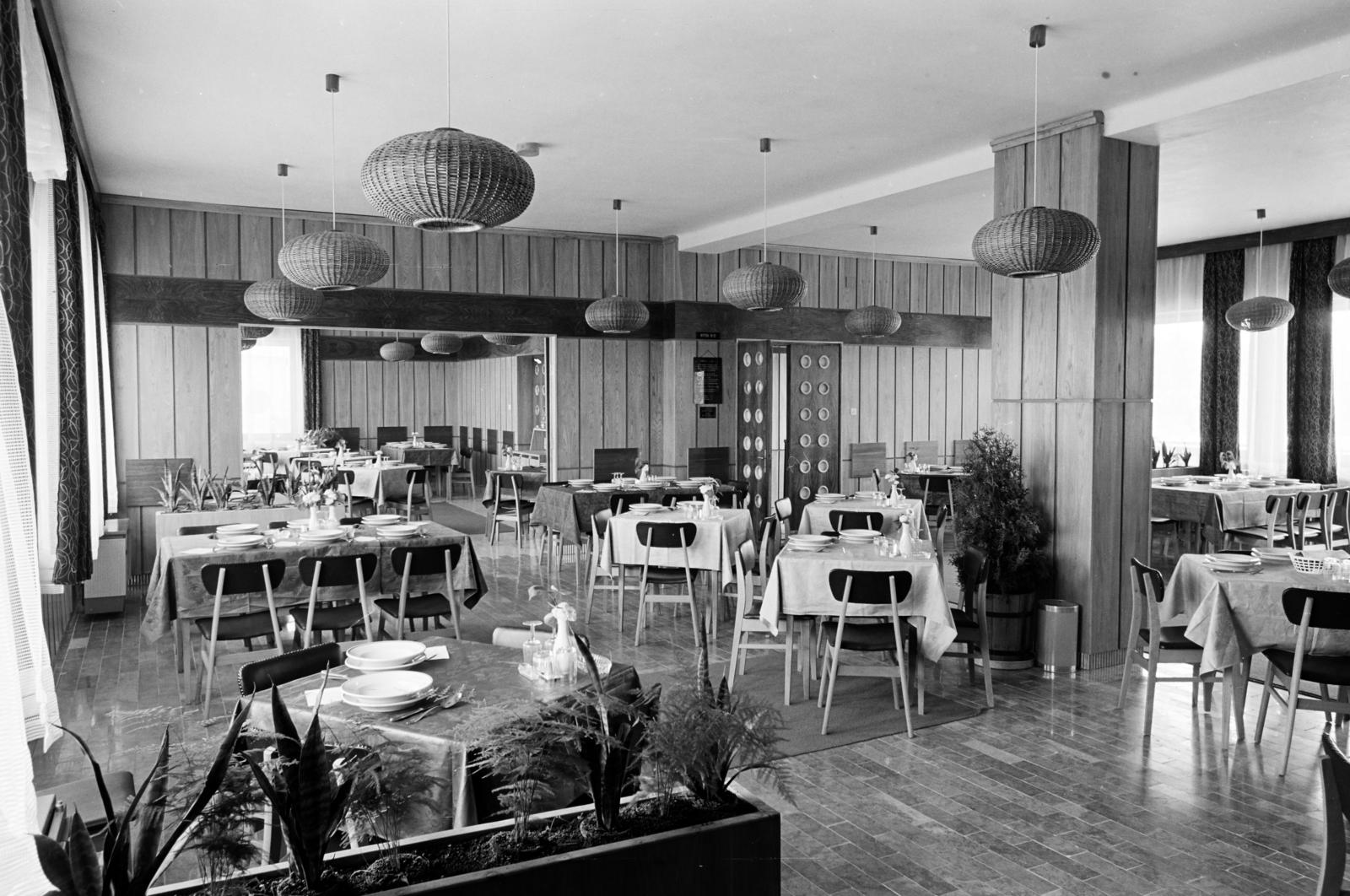 Magyarország, Széchenyihegy, Budapest XII., a Gyermekvasút (Úttörővasút) végállomása, étterem., 1971, Hegyvidéki Helytörténeti Gyűjtemény, Budapest, Fortepan #290602