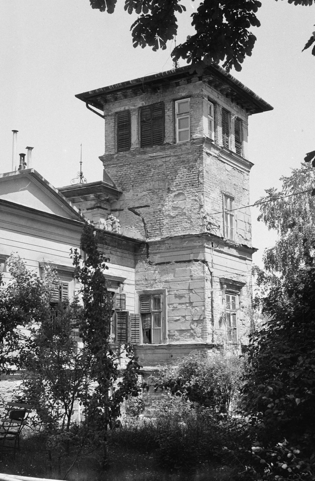 Hungary, Budapest XII., a Szépkilátás út 2. szám alatti villa., 1966, Hegyvidéki Helytörténeti Gyűjtemény, Budapest, Fortepan #290621
