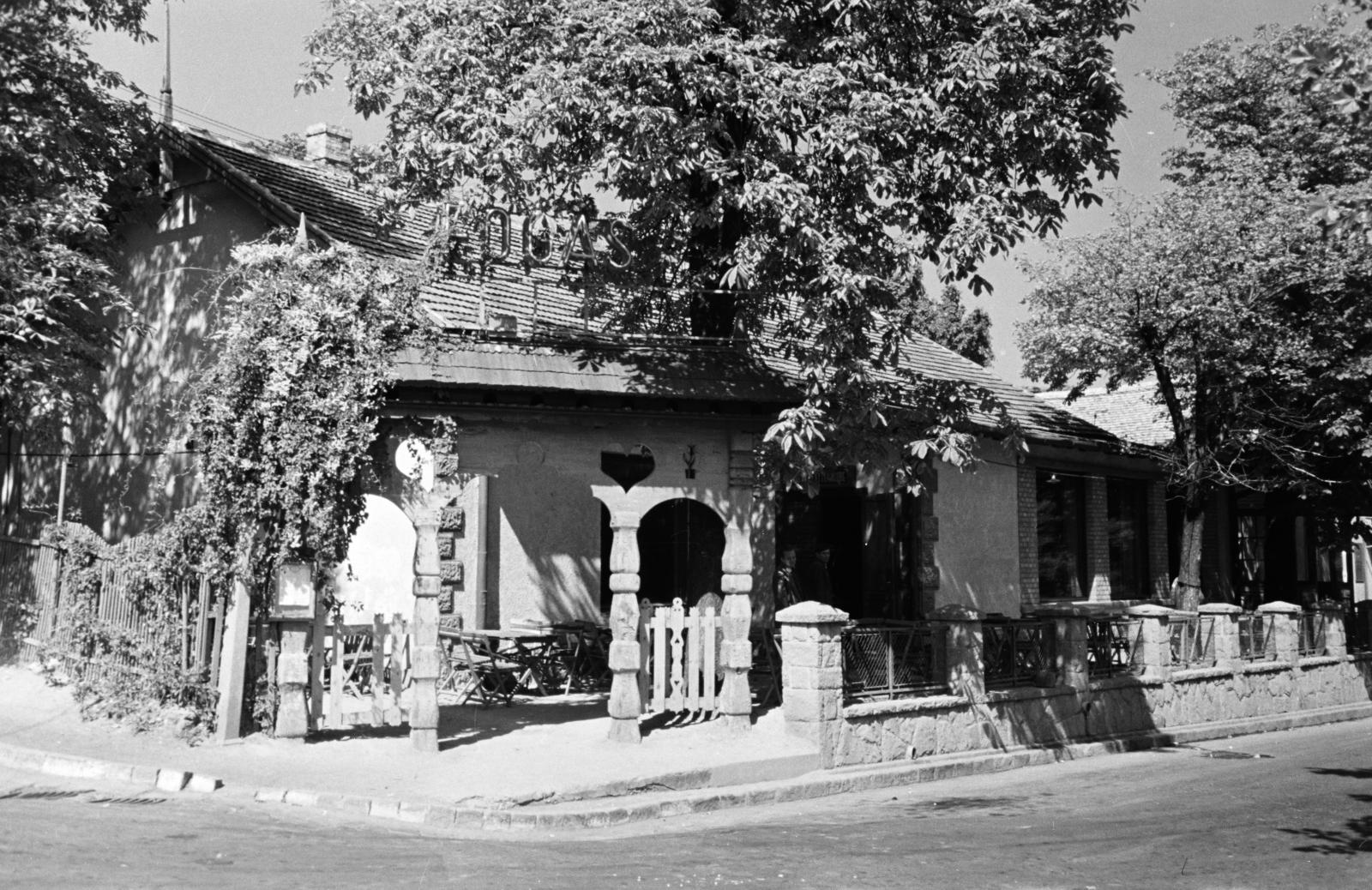 Hungary, Budapest XII., Eötvös út - Hollós út sarok a Fogaskerekű Svábhegy megállójánál. Fogas étterem., 1966, Hegyvidéki Helytörténeti Gyűjtemény, Budapest, Fortepan #290638