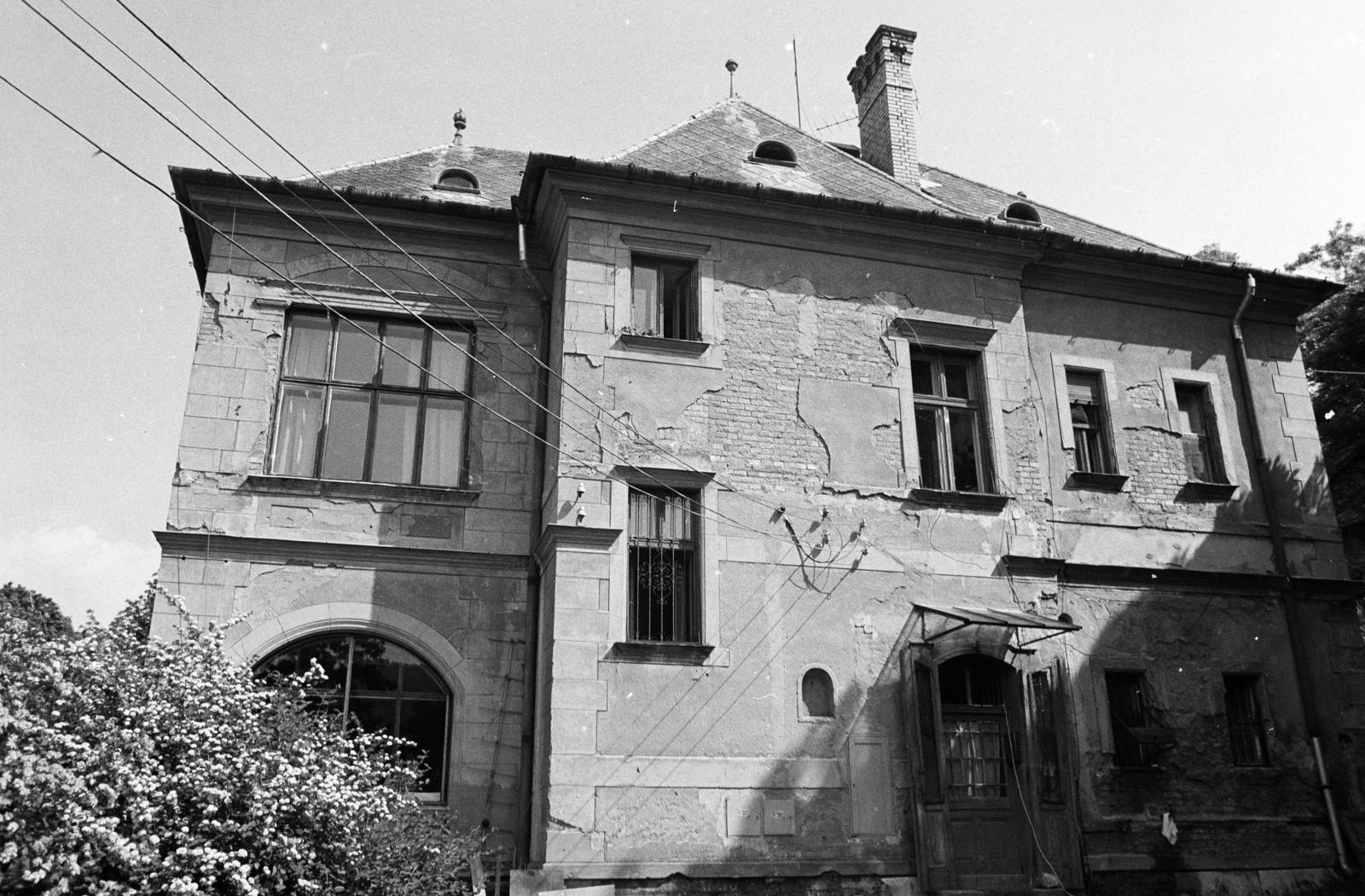 1966, Hegyvidéki Helytörténeti Gyűjtemény, Fortepan #290639
