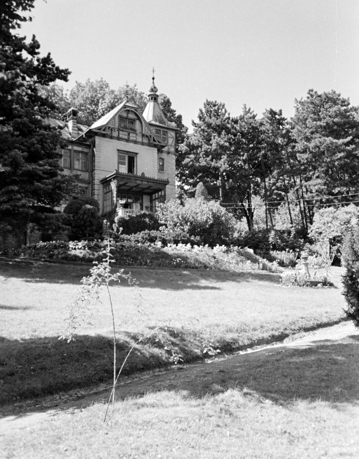 1966, Hegyvidéki Helytörténeti Gyűjtemény, Fortepan #290651
