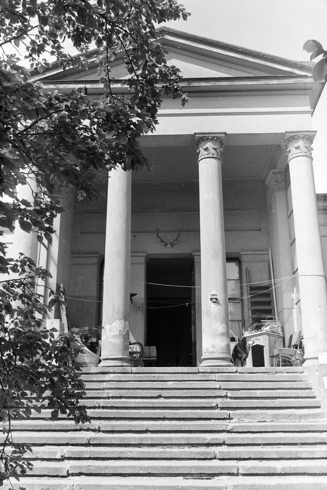 Hungary, Budapest XII., Diana út 17/a, Karczag-villa., 1966, Hegyvidéki Helytörténeti Gyűjtemény, Budapest, Fortepan #290652