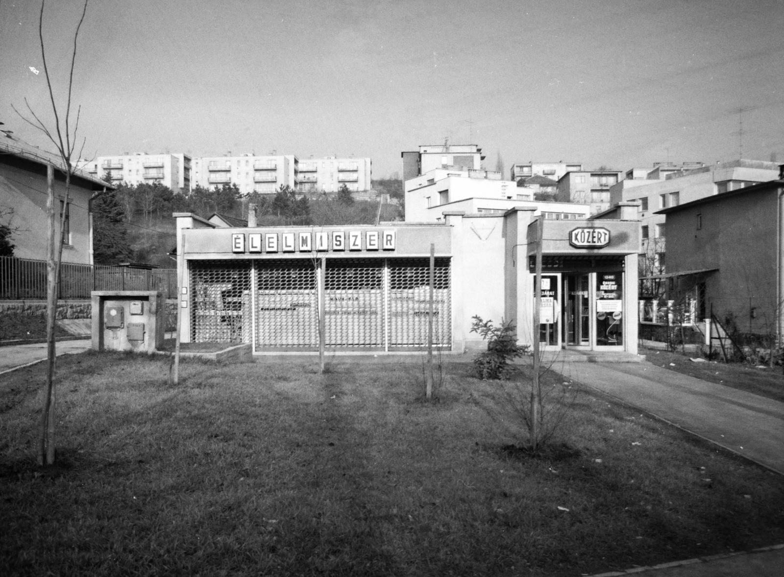 Magyarország, Budapest XII., Istenhegyi út 25., a KÖZÉRT vállalat élelmiszerboltja., 1975, Hegyvidéki Helytörténeti Gyűjtemény, Közért Vállalat, Budapest, Fortepan #290660