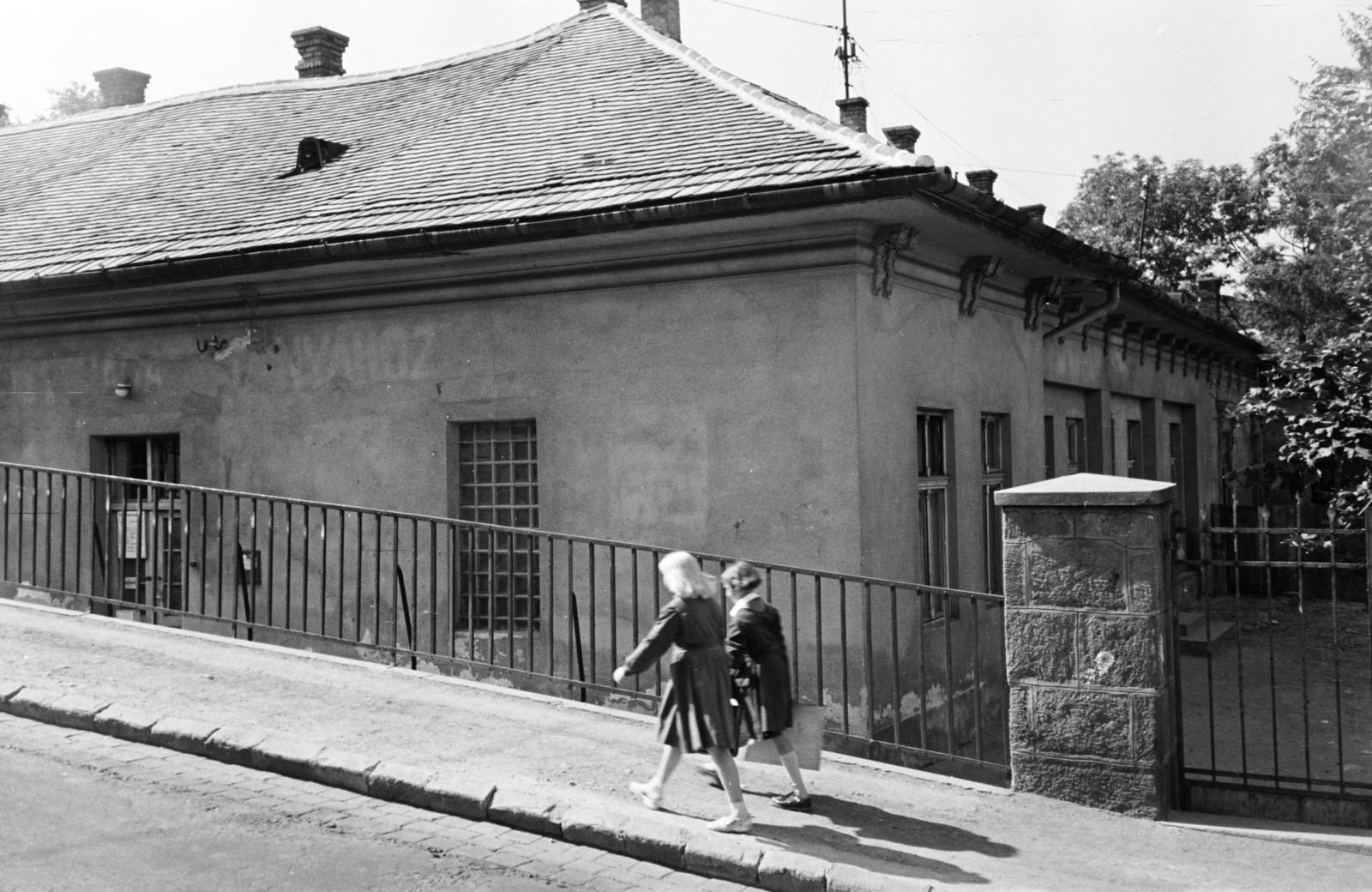 1962, Hegyvidéki Helytörténeti Gyűjtemény, Fortepan #290687