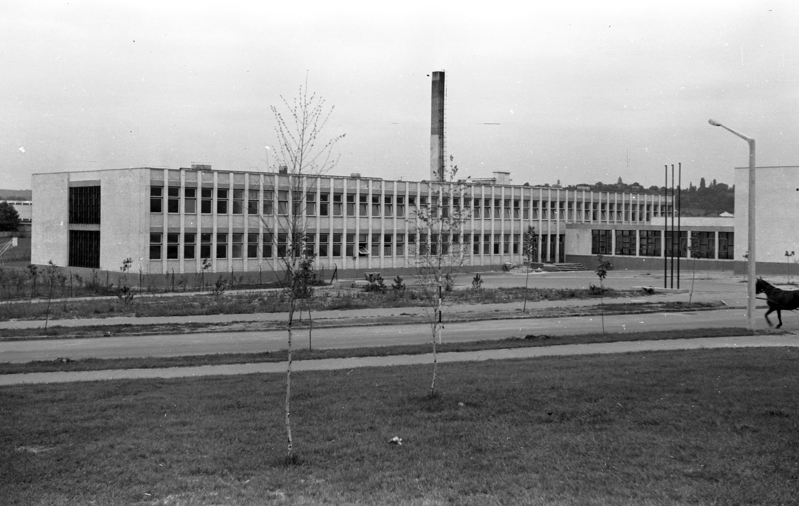 Hungary, Zalaegerszeg, Landorhegyi út, általános iskola., 1968, Építésügyi Dokumentációs és Információs Központ, VÁTI, Fortepan #29108