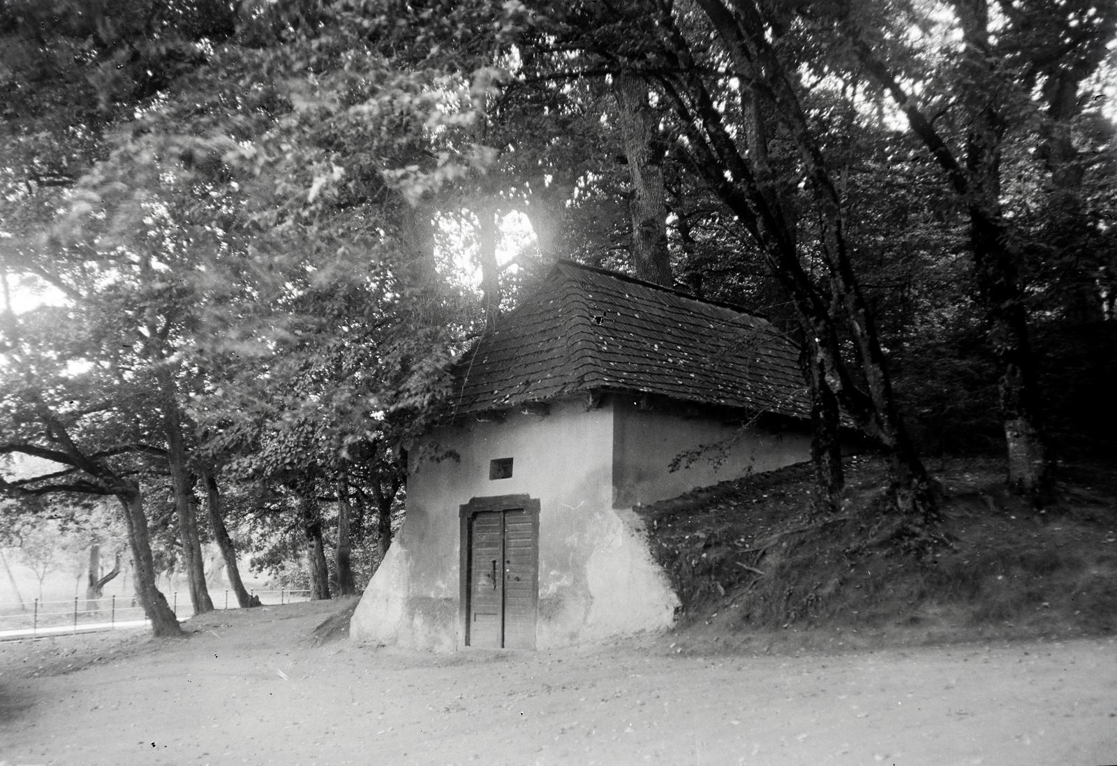 1918, Hodosi Róbert, cellar, building, Fortepan #291090