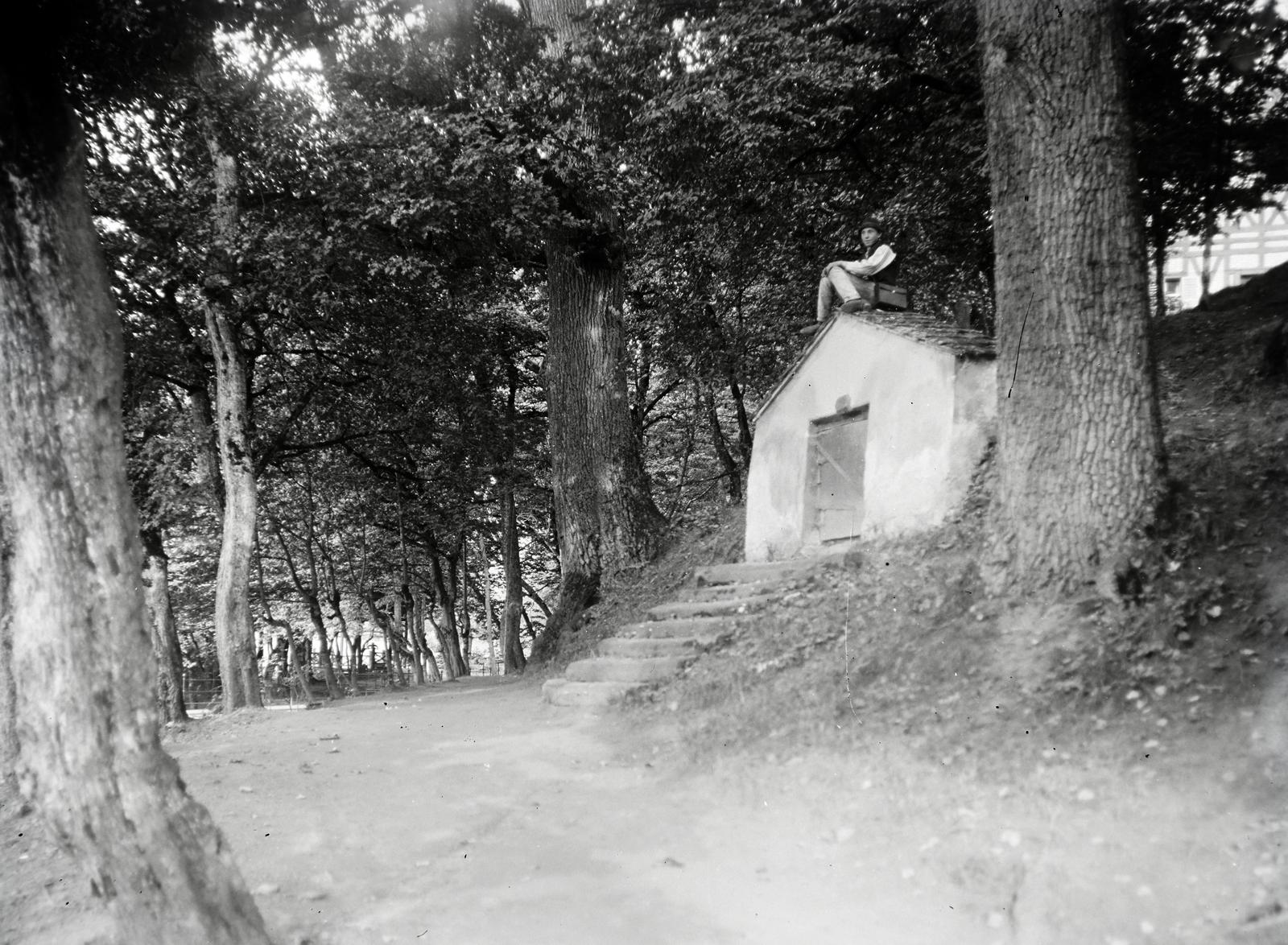 Slovakia, 1918, Hodosi Róbert, cellar, Fortepan #291095