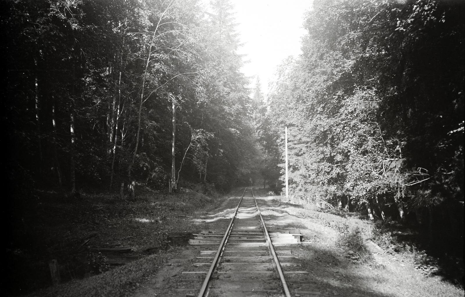 Románia,Erdély, Kommandó, 1941, Mikolay Károly, Fortepan #291186