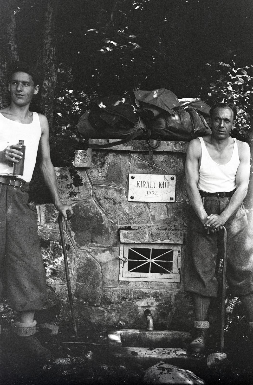 1941, Mikolay Károly, spring, Fortepan #291213