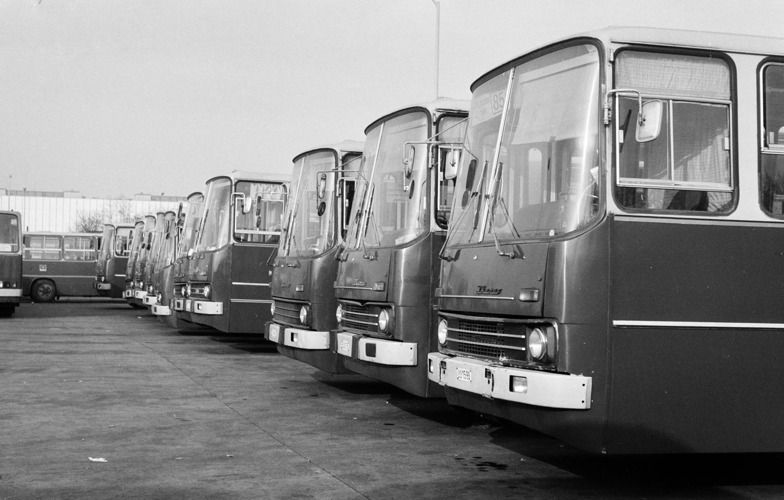 1986, Szerényi Gábor, Ikarus-márka, autóbusz, Fortepan #291234