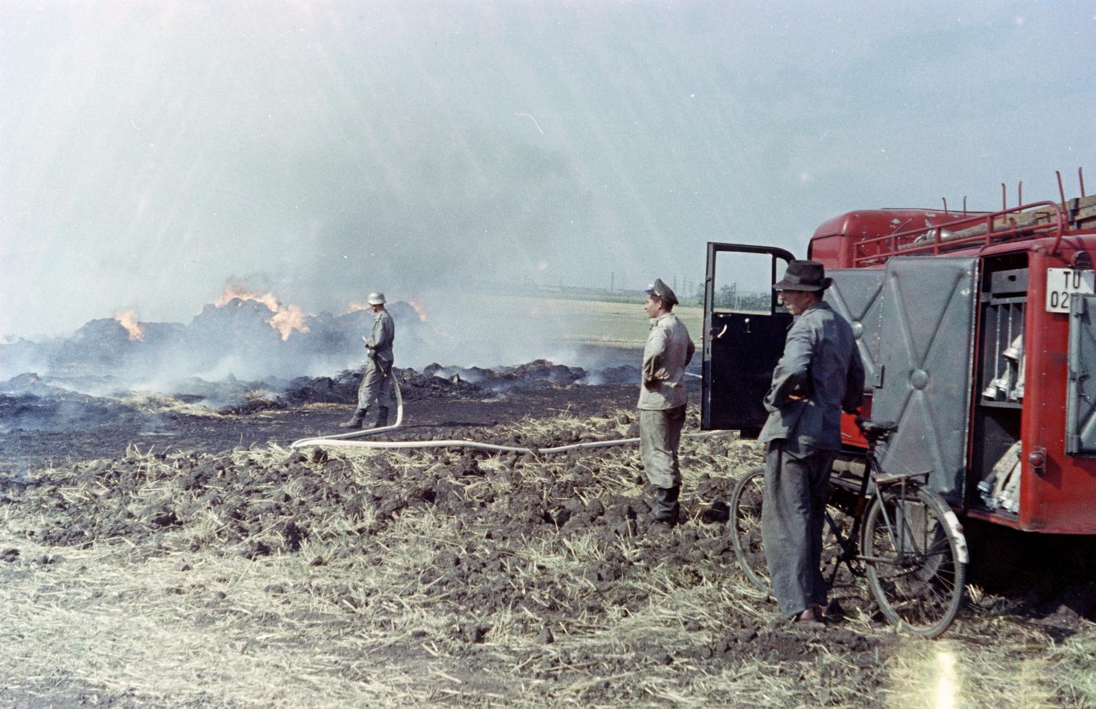 1964, Kovács Gyöngyi, Fortepan #291451