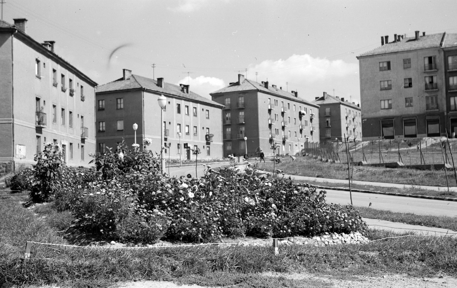 Hungary, Komló, Kenderföld, Vörösmarty Mihály utca a Kazinczy Ferenc utca felől., 1966, Építésügyi Dokumentációs és Információs Központ, VÁTI, garden, blocks, street view, flower, lamp post, socialist realism, Fortepan #29146