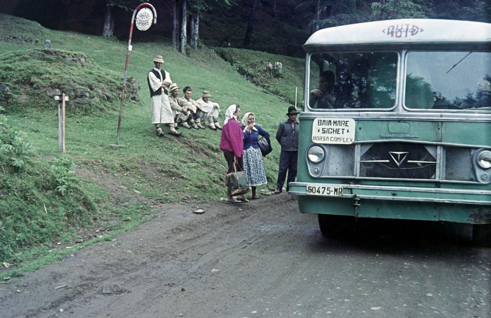 Románia,Erdély, Felsőbánya, a felvétel a Máramarossziget felé vezető út melletti útőrháznál készült, a Gutin-hágó közelében., 1968, Kovács Gyöngyi, Fortepan #291481