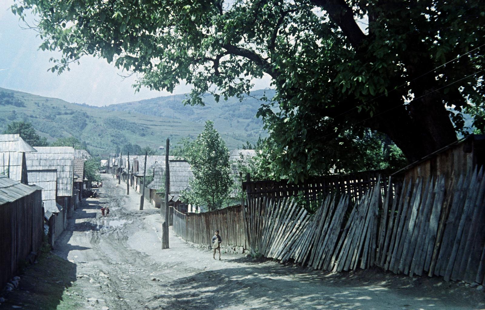 1968, Kovács Gyöngyi, Fortepan #291488