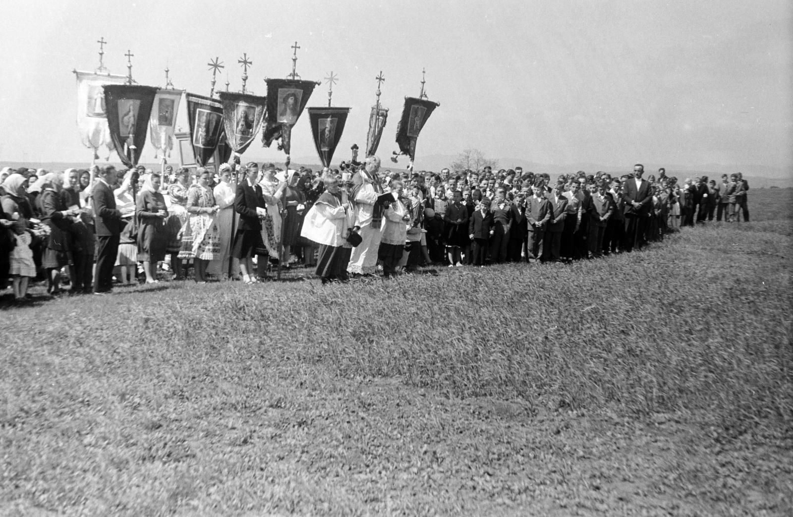 1968, Kovács Gyöngyi, Fortepan #291498
