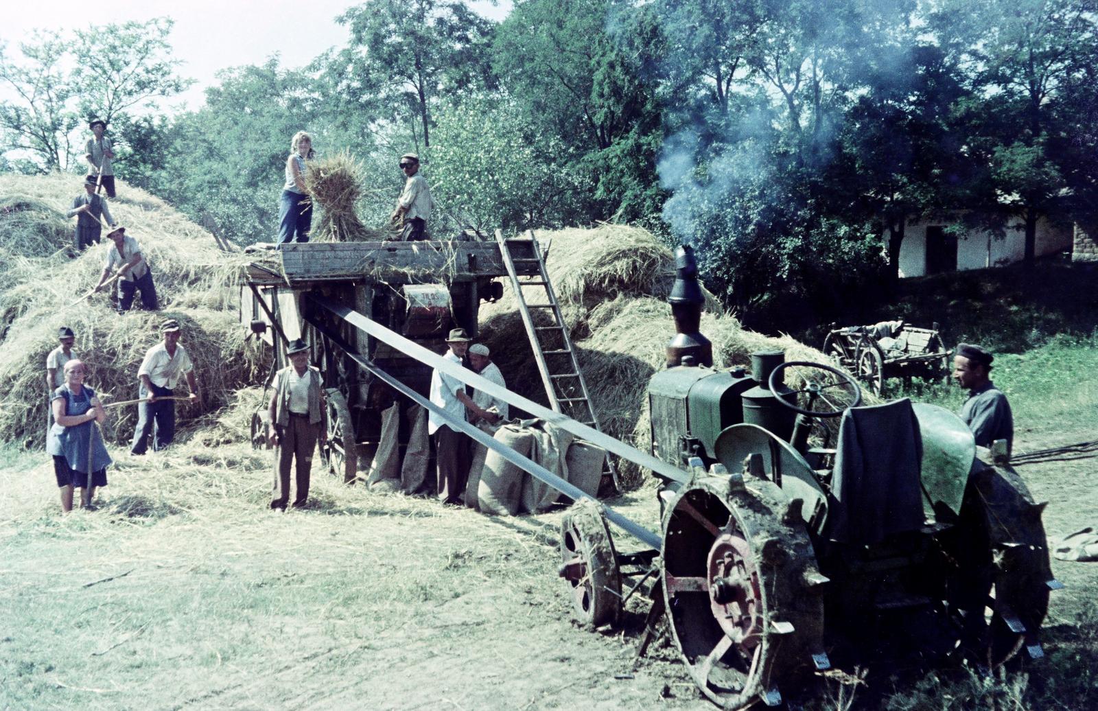 1966, Kovács Gyöngyi, colorful, threshing machine, threshing, Fortepan #291528