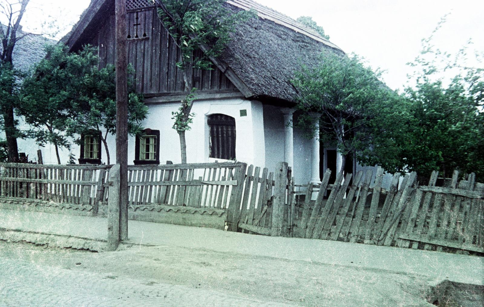1966, Kovács Gyöngyi, színes, népi építészet, kerítés, Fortepan #291536