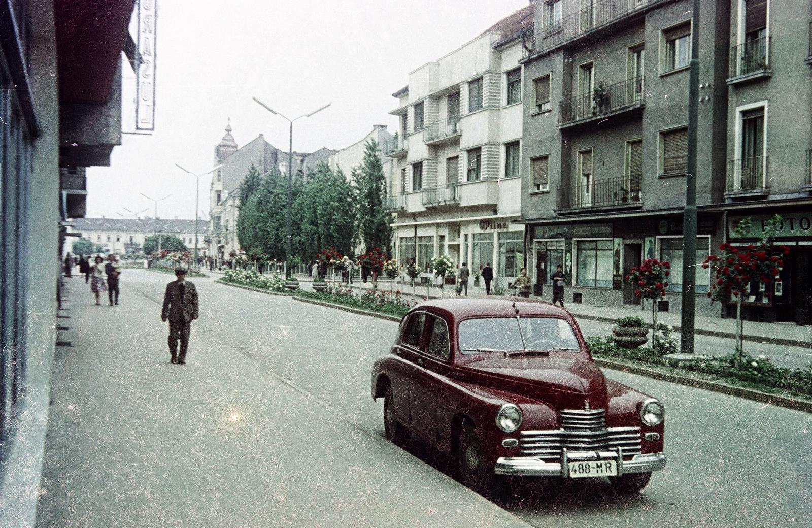 Románia,Erdély, Szatmárnémeti, Bulevardul Ion C. Brătianu, a "Sugárút". Háttérben a Deák tér (Piata Libertatii)., 1964, Kovács Gyöngyi, Fortepan #291539