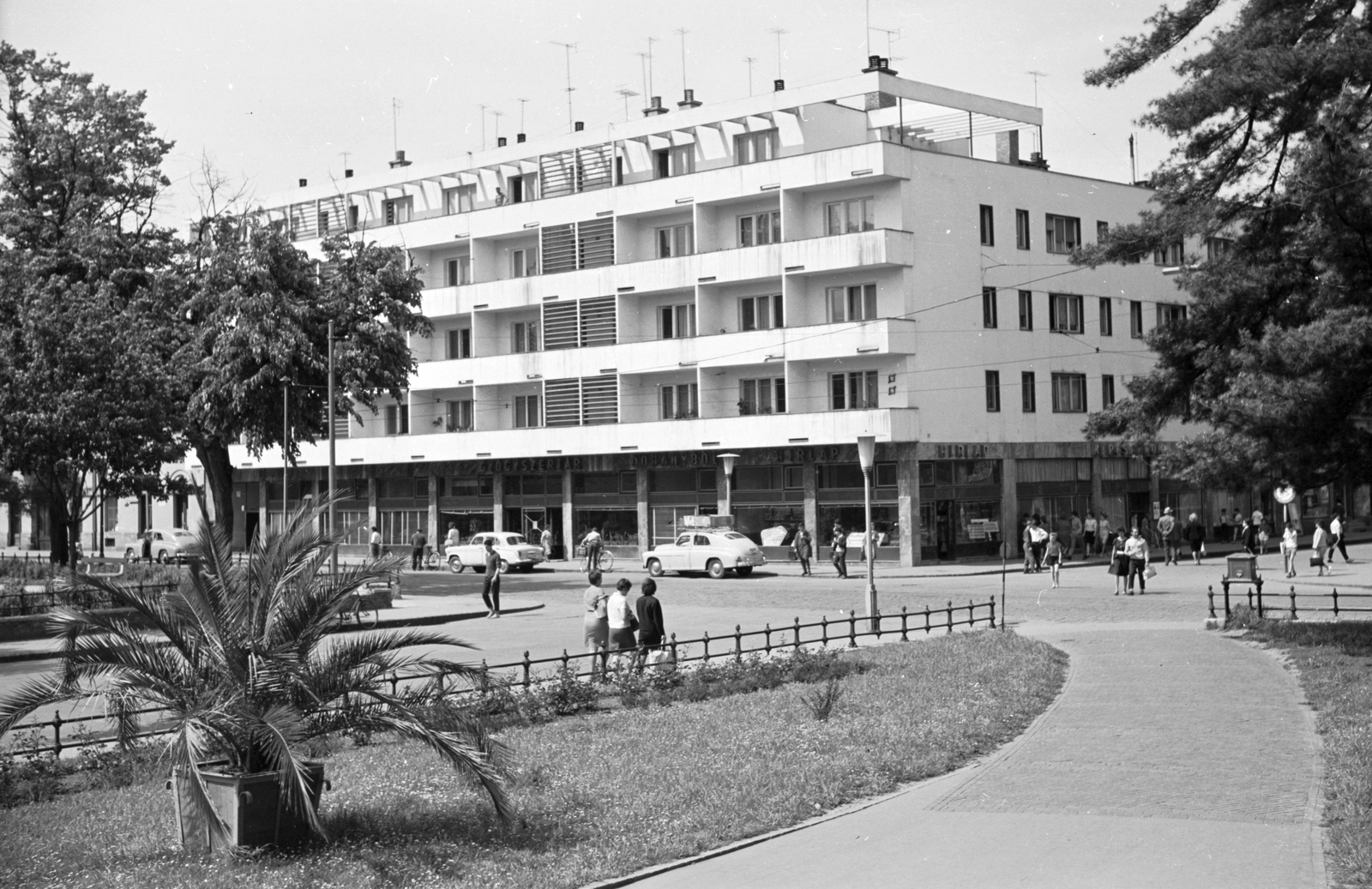 Hungary, Szeged, Dugonics tér, jobbra a Kárász-utca torkolata., 1964, Építésügyi Dokumentációs és Információs Központ, VÁTI, palm tree, automobile, Fortepan #29156