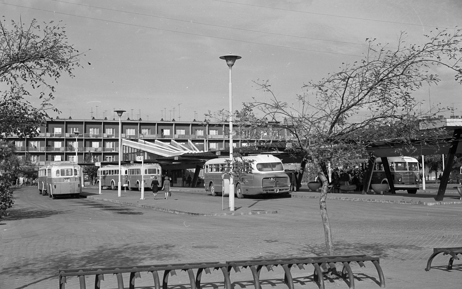 Hungary, Szeged, Mars (Marx) téri autóbusz-állomás., 1966, Építésügyi Dokumentációs és Információs Központ, VÁTI, bus, Hungarian brand, Ikarus-brand, trailer, bus terminal, bicycle holder, bus stop, Fortepan #29165